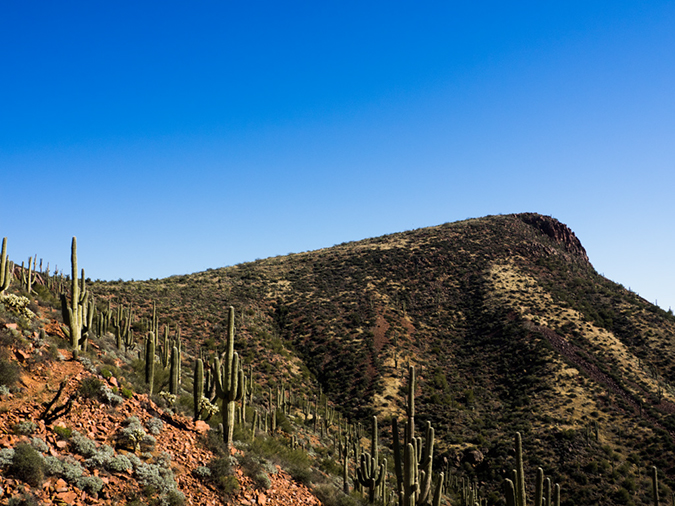 %_tempFileName2015-01-03_Vineyard_Hike-1032028%