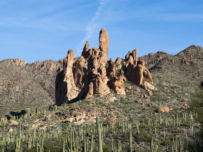%_tempFileName2015-01-28_Superstitiona_Reed_Water-9638%