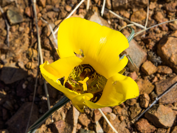 %_tempFileName2015-03-08_AZ_Trail_Passage_6-3080658%