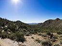 %_tempFileName2015-02-26_McDowell_Sonoran_Preserve_Desert_Loop-2250483%