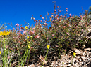 %_tempFileName2015-03-04_Superstitions_Charlebois_Backpack-3050618%