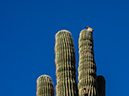 %_tempFileName2015-03-09_Desert_Park_Loop-3090683%