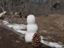 %_tempFileName2015-03-14_Prescott_NF_Trail_307-3140726%