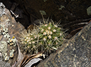 %_tempFileName2015-03-14_Prescott_NF_Trail_307-3140730%