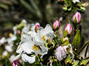 %_tempFileName2015-04-011_Sedona_Bear_Mountain-4110555%