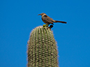 %_tempFileName2015-04-29_01_Gateway_Loop-4291420%