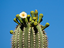%_tempFileName2015-04-29_01_Gateway_Loop-4291431%