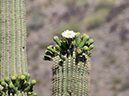 %_tempFileName2015-04-29_01_Gateway_Loop-4291437%