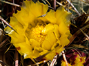 %_tempFileName2015-04-29_01_Gateway_Loop-4291440%