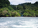 %_tempFileName2015-10-28_03__Cocos_Island_Walk-0713%