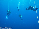 %_tempFileName2015-10-30_02__Cocos_Island_Punta_Maria-300127%