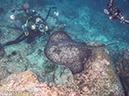 %_tempFileName2015-10-30_03_Cocos_Island_Manuelita_Island_Deep-300181%