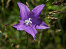 %_tempFileName2015-07-10_01_RMNP_Cub_Lake-7102602%