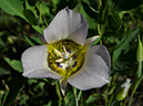%_tempFileName2015-07-10_01_RMNP_Cub_Lake-7102609%