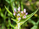 %_tempFileName2015-07-10_01_RMNP_Cub_Lake-7102649%