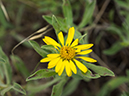 %_tempFileName2015-07-10_01_RMNP_Cub_Lake-7102657%