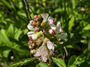 %_tempFileName2015-07-10_01_RMNP_Cub_Lake-7102689%