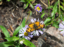 %_tempFileName2015-07-10_01_RMNP_Cub_Lake-7102721%