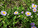 %_tempFileName2015-07-10_01_RMNP_Cub_Lake-7102730%