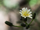 %_tempFileName2015-07-10_01_RMNP_Cub_Lake-7102739%