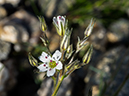 %_tempFileName2015-07-14_01_RMNP_Alpine_Visitor_Center-7142870%