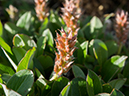 %_tempFileName2015-07-14_01_RMNP_Alpine_Visitor_Center-7142873%