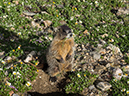 %_tempFileName2015-07-14_01_RMNP_Alpine_Visitor_Center-7142892%