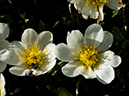 %_tempFileName2015-07-14_01_RMNP_Alpine_Visitor_Center-7142895%