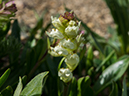 %_tempFileName2015-07-14_01_RMNP_Alpine_Visitor_Center-7142901%