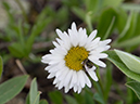 %_tempFileName2015-07-14_01_RMNP_Alpine_Visitor_Center-7142905%