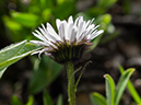 %_tempFileName2015-07-14_01_RMNP_Alpine_Visitor_Center-7142906%