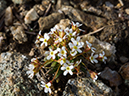 %_tempFileName2015-07-14_01_RMNP_Alpine_Visitor_Center-7142914%