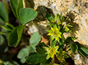 %_tempFileName2015-07-14_01_RMNP_Alpine_Visitor_Center-7142923%