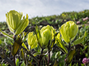 %_tempFileName2015-07-14_01_RMNP_Alpine_Visitor_Center-7142929%