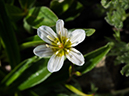 %_tempFileName2015-07-14_01_RMNP_Alpine_Visitor_Center-7142931%