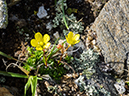 %_tempFileName2015-07-14_01_RMNP_Alpine_Visitor_Center-7142936%
