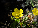 %_tempFileName2015-07-14_01_RMNP_Alpine_Visitor_Center-7142939%
