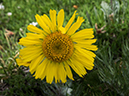 %_tempFileName2015-07-14_02_RMNP_Ute_Crossing-7142983%