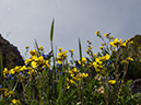 %_tempFileName2015-07-14_02_RMNP_Ute_Crossing-7142995%