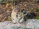 %_tempFileName2015-07-15_01_Sky_Pond-7153000%