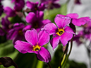 %_tempFileName2015-07-15_01_Sky_Pond-7153058%
