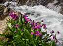 %_tempFileName2015-07-15_01_Sky_Pond-7153061%