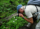 %_tempFileName2015-07-22_01_Gray_Jay_Buchwhack-1100328%