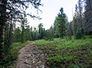 %_tempFileName2015-07-22_01_Gray_Jay_Buchwhack-43%