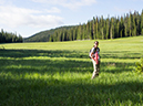 %_tempFileName2015-07-22_01_Gray_Jay_Buchwhack-52%