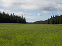 %_tempFileName2015-07-22_01_Gray_Jay_Buchwhack-56%