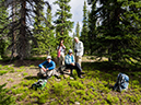 %_tempFileName2015-07-22_01_Gray_Jay_Buchwhack-61%