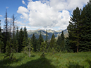 %_tempFileName2015-07-22_01_Gray_Jay_Buchwhack-62%