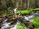 %_tempFileName2015-07-22_01_Gray_Jay_Buchwhack-75%