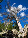 %_tempFileName2015-08-12_01_Half_Mountain-8122222%